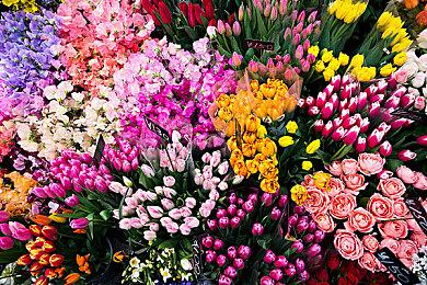 PlayStation日本最新PS5宣传MV 七音阿卡莉献唱